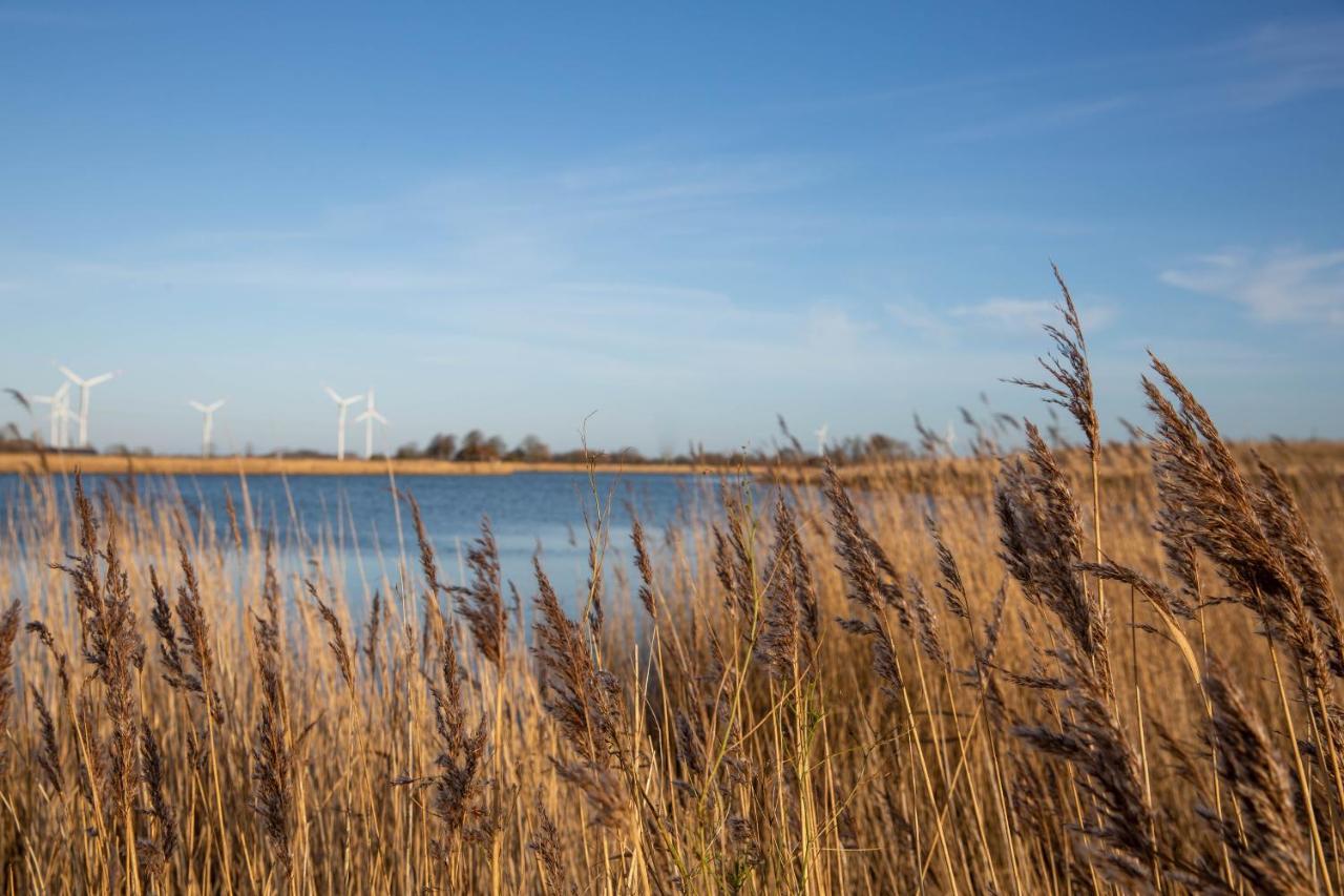 Daenisches Blockhaus Direkt Am Wangermeer Schillig Esterno foto